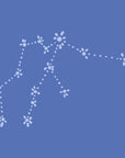 Personalisierte lilimoon Babydecke Sternbild Wassermann